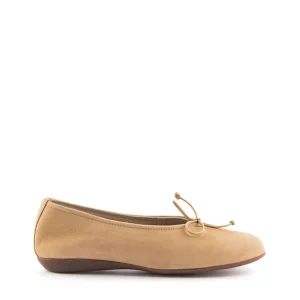 Bailarina cordón nobuck arena | WONDERS Clearance
