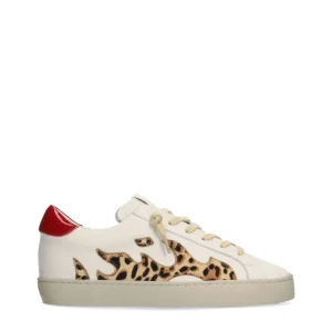 Deportivo animal print | GAMIN Online