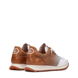 Deportivo rejilla piel combi cuero | HISPANITAS Sale