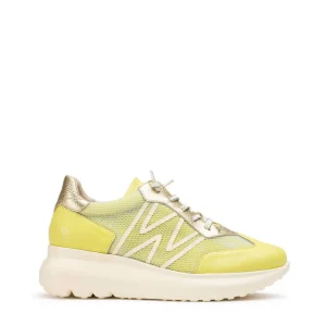 Deportivo rejilla piel verde lima | WONDERS Hot