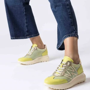 Deportivo rejilla piel verde lima | WONDERS Hot